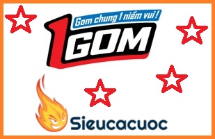 1gom - 1gom.com - 1gom.us vào bóng nhanh