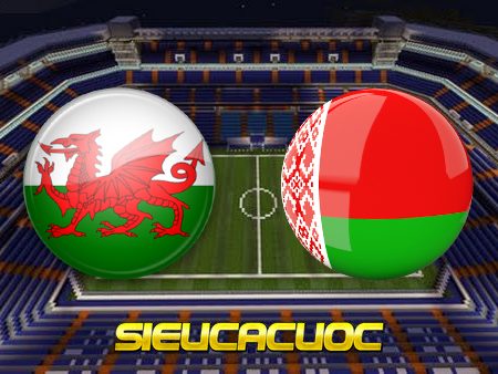 Soi kèo nhà cái Wales vs Belarus – 02h45 – 14/11/2021