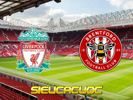 Soi kèo nhà cái Liverpool vs Brentford – 21h00 – 16/11/2022