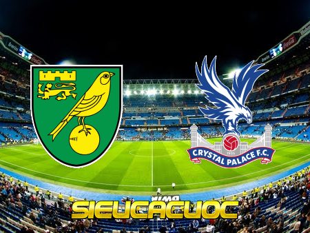 Soi kèo nhà cái Norwich vs Crystal Palace – 02h45 – 10/02/2022