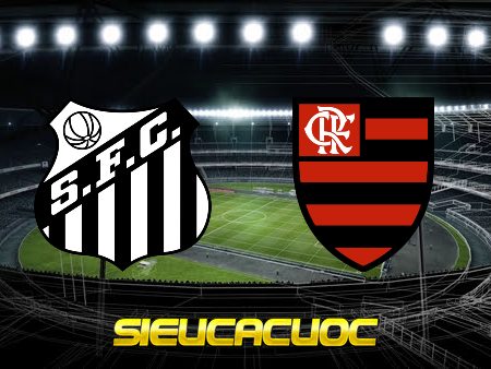 Soi kèo nhà cái Santos vs Flamengo RJ – 05h00 – 03/07/2022