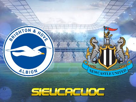 Soi kèo nhà cái W88 trận Brighton vs Newcastle – 21h00 – 13/08/2022