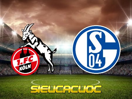 Soi kèo nhà cái V9bet trận đấu FC Koln vs Schalke – 22h30 – 07/08/2022