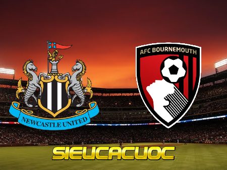 Soi kèo nhà cái Newcastle vs Bournemouth – 21h00 – 17/09/2022