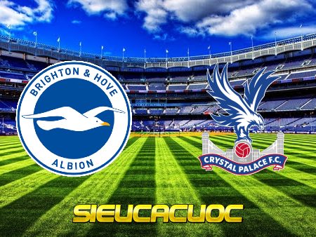 Soi kèo nhà cái Brighton vs Crystal Palace – 02h30 – 16/03/2023