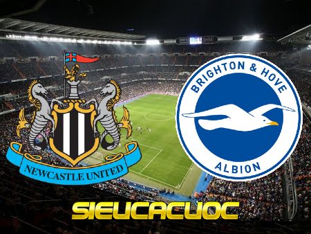 Soi kèo nhà cái Newcastle vs Brighton – 01h30 – 19/05/2023